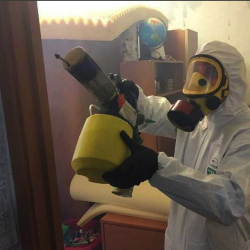 Уничтожение клопов в квартире. Криводановка